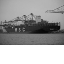 MSC MAYA i Skandiahamnen, snett akterifrån